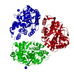 Image of CATH 2heu