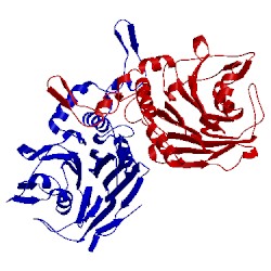 Image of CATH 2hf0