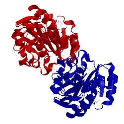 Image of CATH 2hf2