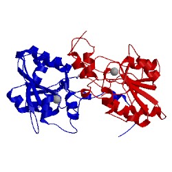 Image of CATH 2hf7