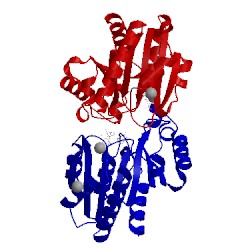 Image of CATH 2hf9