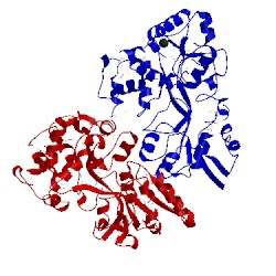 Image of CATH 2hfb