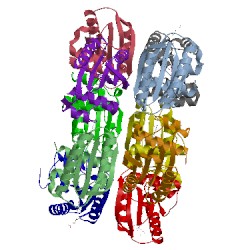 Image of CATH 2hfo