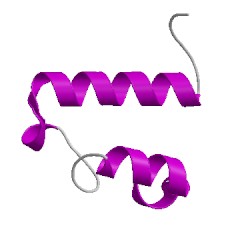 Image of CATH 2hfoD02