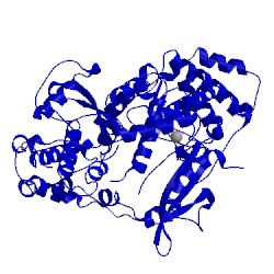 Image of CATH 2hfz