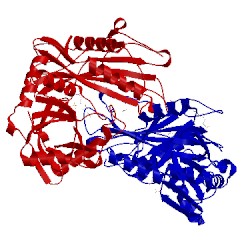 Image of CATH 2hgw