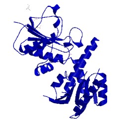 Image of CATH 2hhc