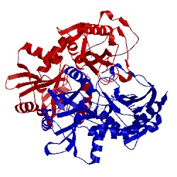 Image of CATH 2hhf