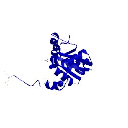 Image of CATH 2hhg