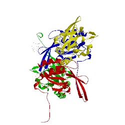 Image of CATH 2hhl