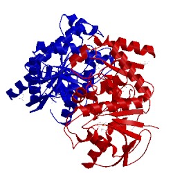 Image of CATH 2hi1