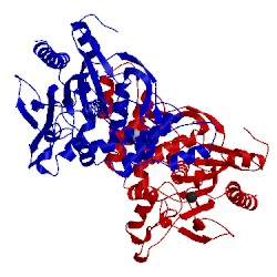 Image of CATH 2hih