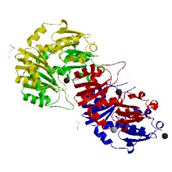 Image of CATH 2hiy