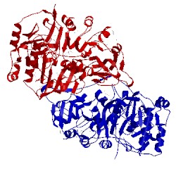 Image of CATH 2hj0