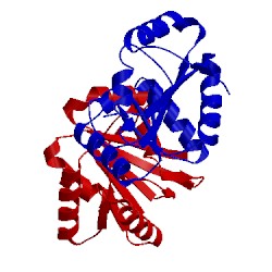 Image of CATH 2hjv