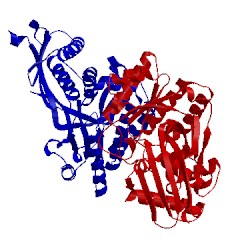 Image of CATH 2hk2
