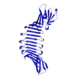 Image of CATH 2hkd