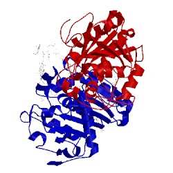 Image of CATH 2hl6