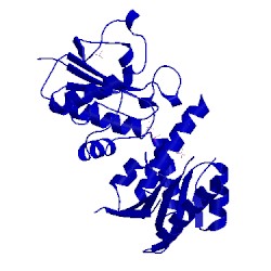 Image of CATH 2hlh