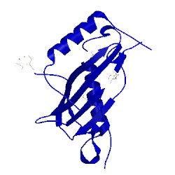 Image of CATH 2hlj