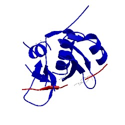 Image of CATH 2hmh