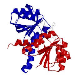 Image of CATH 2hmt