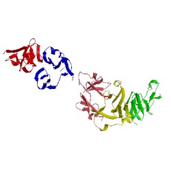Image of CATH 2hnv