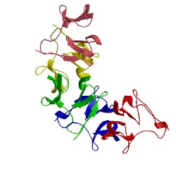 Image of CATH 2hnw