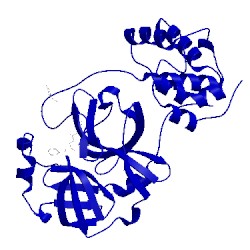 Image of CATH 2hob