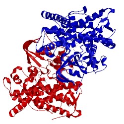 Image of CATH 2hpd