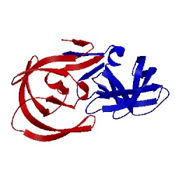 Image of CATH 2hpe