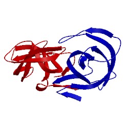 Image of CATH 2hpf
