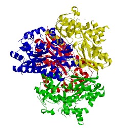 Image of CATH 2hpg