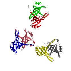 Image of CATH 2hql