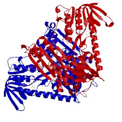 Image of CATH 2hqm