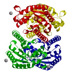 Image of CATH 2hsj