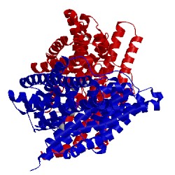 Image of CATH 2htl