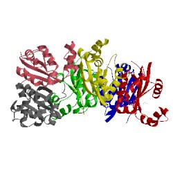 Image of CATH 2hur