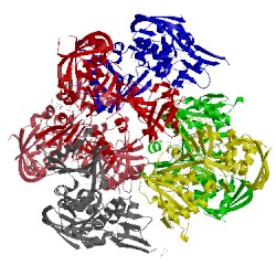 Image of CATH 2hv2