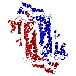 Image of CATH 2hvg