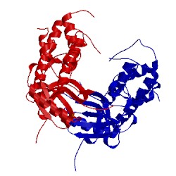 Image of CATH 2hw6