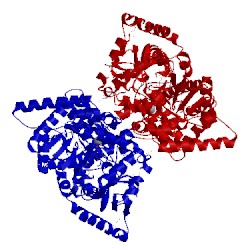 Image of CATH 2hwg