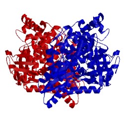 Image of CATH 2hwh