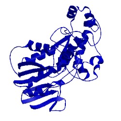 Image of CATH 2hwk