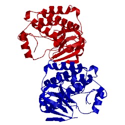 Image of CATH 2hwp