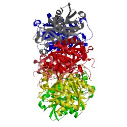 Image of CATH 2hwu