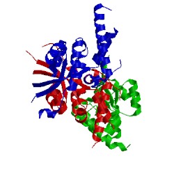 Image of CATH 2hww