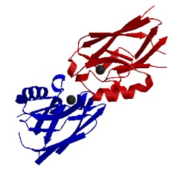 Image of CATH 2hx9