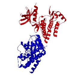 Image of CATH 2hzi