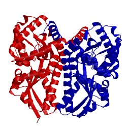 Image of CATH 2hzl